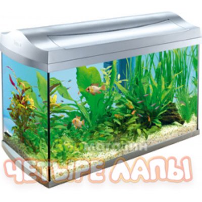   TETRA AquaArt Tropical  60 