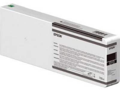  Epson C13T804700