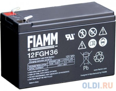  Fiamm 12FGH36 F2 (12V 9Ah)