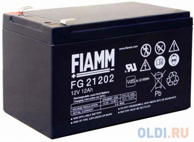  FIAMM FG21202 12  12B