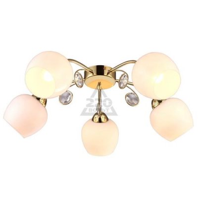   Arte Lamp Millo A9549PL-5GO