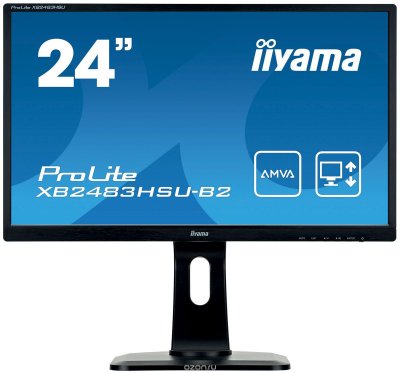  Iiyama XB2483HSU-B2 24" Black