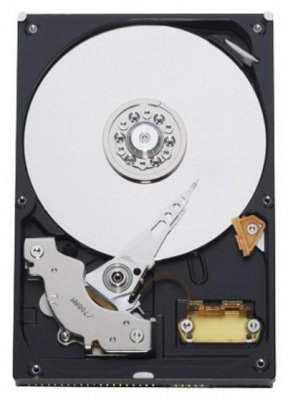  (HDD)   Western Digital Caviar 250Gb (WD2500AAJB)