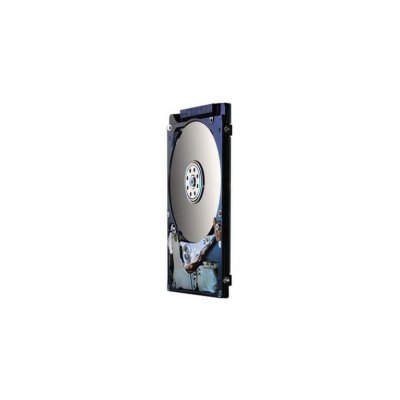  (HDD)   HGST Z7K500 500 