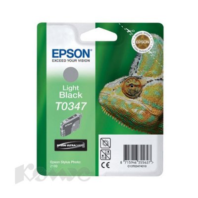   Epson Stylus Photo 2100 (C13T03474010 T0347) ()