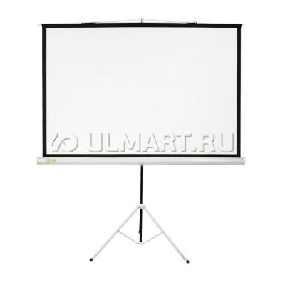  Cactus Triscreen 100" (254 )  