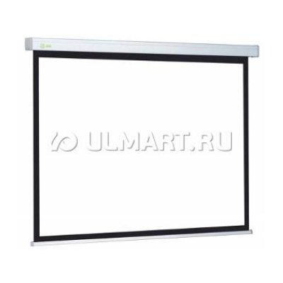  Cactus Wallscreen 135" (343 ) -