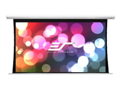  Elite Screens TE116XW2