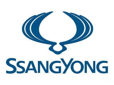    SSANG YONG 2319005322