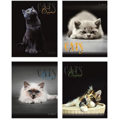   48  A5  "Cats days",  ,  -