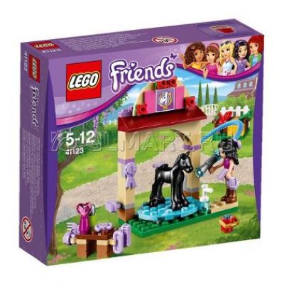  LEGO Friends 41116   