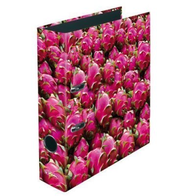 - A4 Herlitz Dragon Fruit