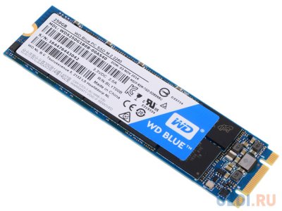   SSD M.2 250GB WD Blue (R540/W500Mb/s, TLC, SATA 6Gb/s, 2280) (WDS250G1B0B)