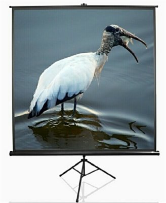    Elite Screens (T71UWS1) 127x127,  