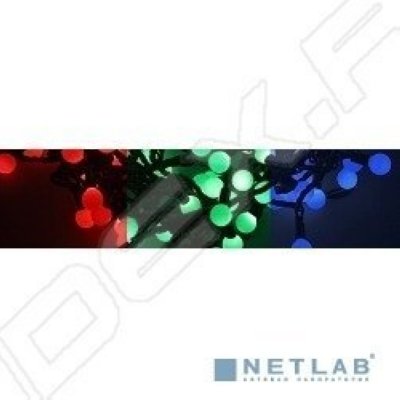   5   18  (NEON-NIGHT LED -  303-549) (, , )