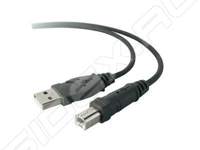 - USB AM - BM 4.8  (Belkin F3U154CP48M) ()