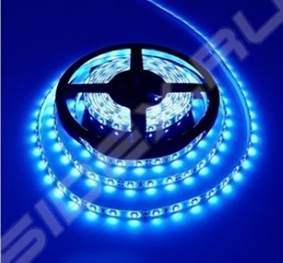   60 LED, 12V, IP65, 8 , 5  ( LS3528-60LED-IP65-B) ()