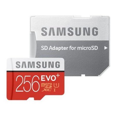   256Gb - Samsung - Micro Secure Digital XC Class 10 UHS-I MB-MC256DARU (!)