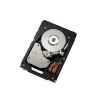   HDD 600Gb SAS IBM 6Gb (49Y3729/44W2244, 15000rpm, 3.5")