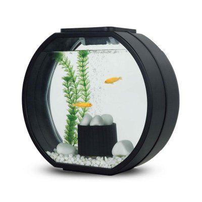  AA-Aquariums Deco o mini 10  