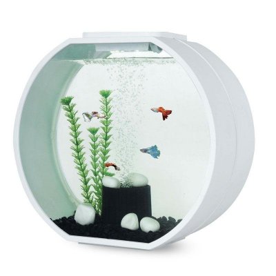  AA-Aquariums Deco O 20  