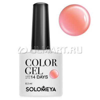 -   Solomeya Color Gel Fudge , 8,5 