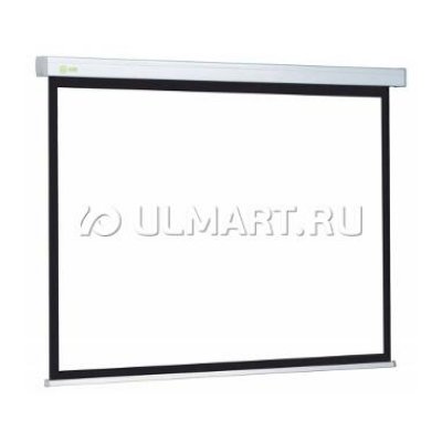  Cactus Wallscreen 119" (302 ) -