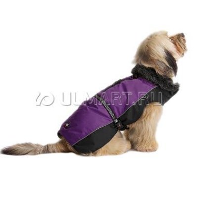   Dog Gone Smart     Aspen parka 40,5 , 