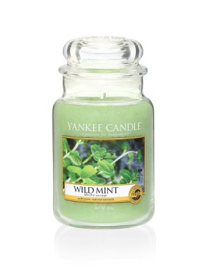        Wild Mint 623  / 110-150 