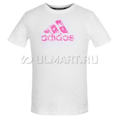  Graphic Adidas Tee - (L), ADITSG2