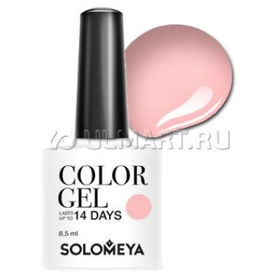 -   Solomeya Floral Garden Tea Rose SCG_020  , 8.5 