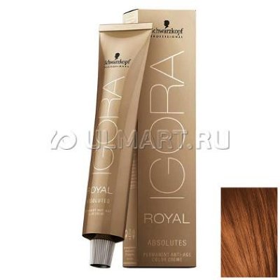    Schwarzkopf Professional Igora Absolutes  6-70    