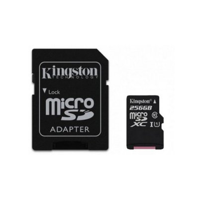 - 256  Kingston SDXC Class 10 UHS-I ( SDC10G2/ 256GB ) SD 