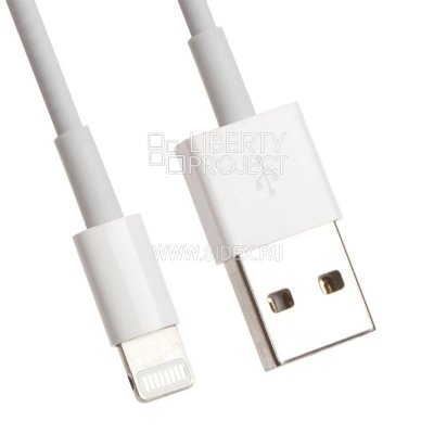 USB Lightning to USB Cable  iPhone 7 ( ) MD818FE, A