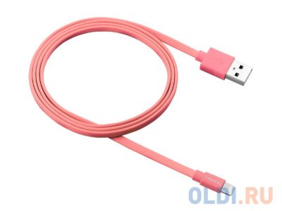  Apple Lightning/USB 1.0  Canyon CNS-MFIC2R     (MFI)