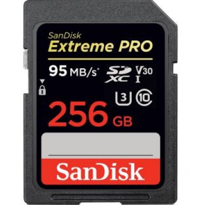   SanDisk SDSDXXG-256G-GN4IN