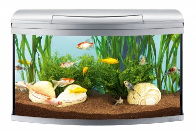  Tetra AquaArt 100l