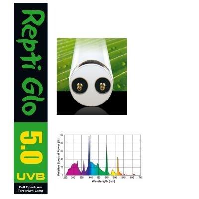  REPTI GLO 5.0 25B  74.22   8