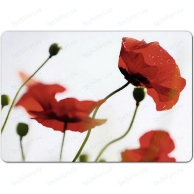  Emsa Corn poppies