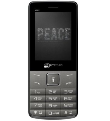   Micromax X602 