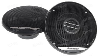     Pioneer TS-G1020F