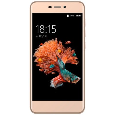  BQ mobile Strike Power LTE Gold (BQ-5037)