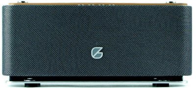   GZ Electronics Bluetooth GZ-44 Silver