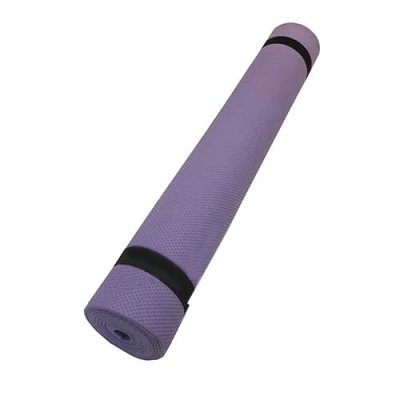  Z-Sports BB8310 Purple