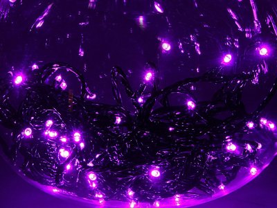 Luazon  10m LED-100-24B Purple 1672036