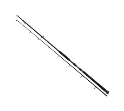  Daiwa Exceler Catfish 2.70m 200-600g 11818-275RU