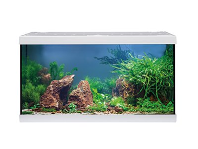  Eheim Aquastar 54 LED White 0340646