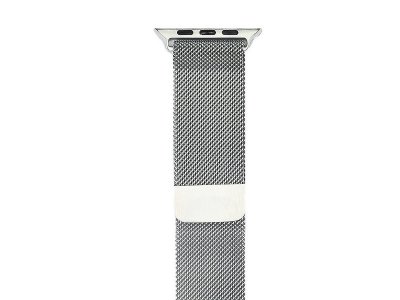  Gurdini Milanese Loop  APPLE Watch 42mm Silver 904818