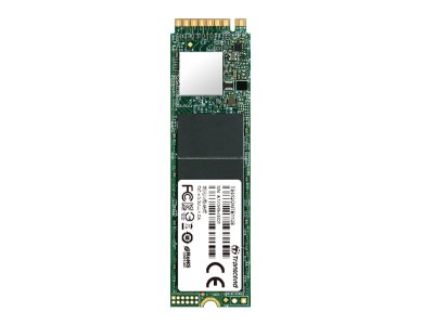   128Gb - Transcend MTE110 TS128GMTE110S