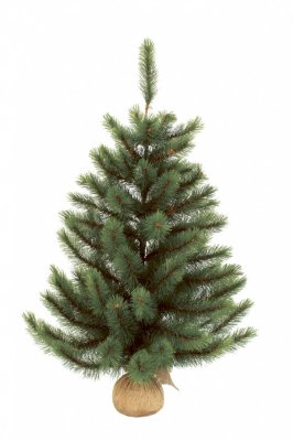   Triumph Tree  90cm   Green 73452 / 788623